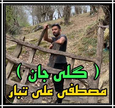مصطفی علی تبار گلی جان